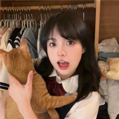 完美的独裁国家